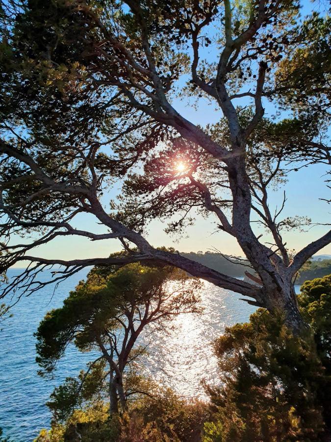 Le Nid De Darshan 2 Personnes Collobrières Esterno foto